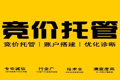 某电商平台的SEM营销推广实战经验